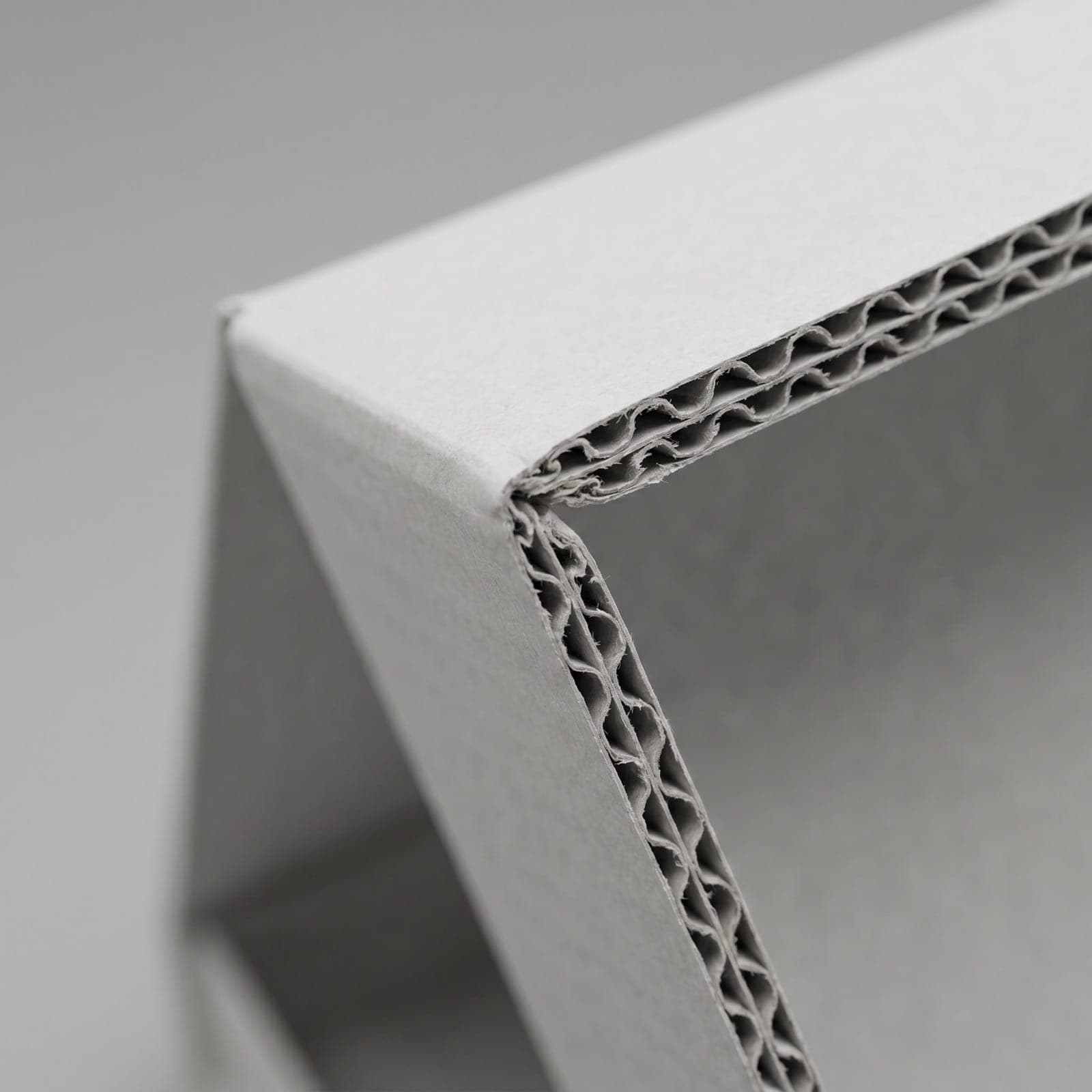 Mailer Box — angle 4
