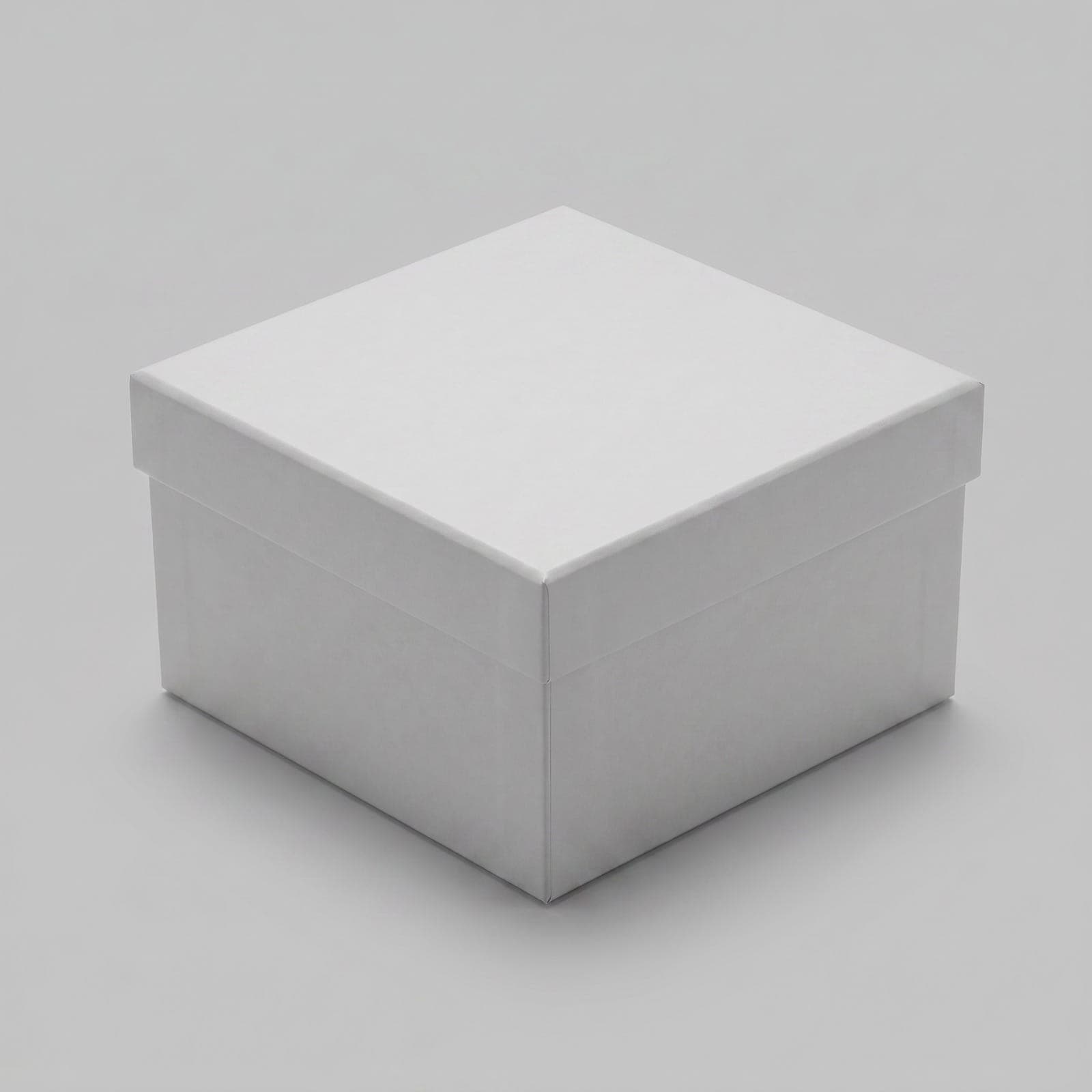 Rigid Box — angle 1