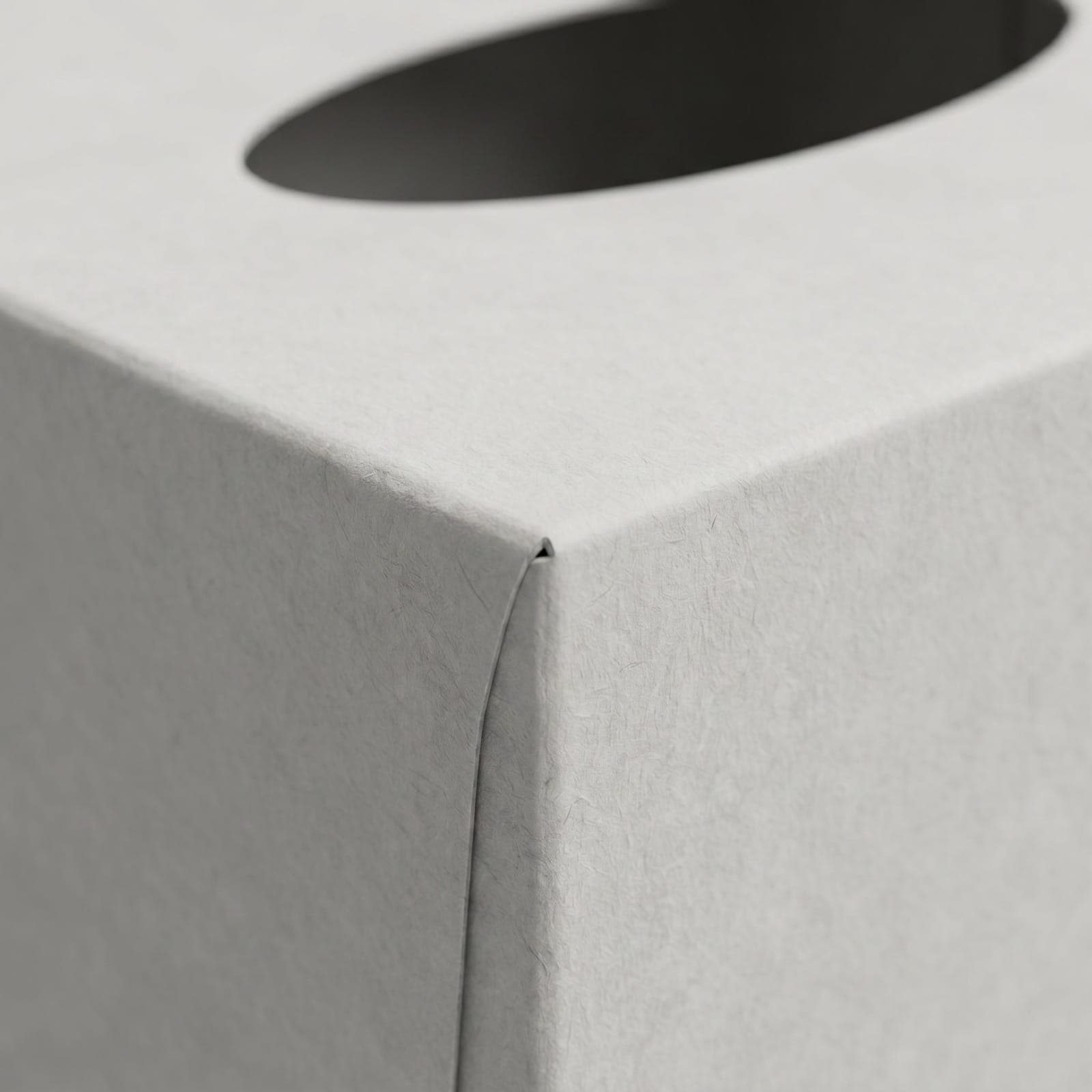 Tissue Box — angle 4